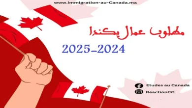 Réaction Conseil Canada: مطلوب عمال بكندا 2024-2025